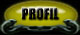 papa noël Profil